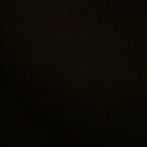 Meet your Posher, Alazae